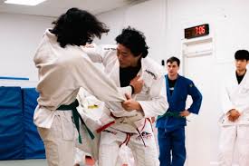 Image result for Budo Shin Ryu Kempo Jujitsu Academy