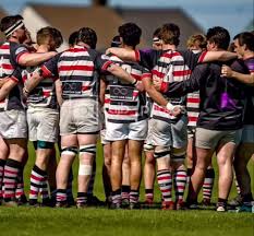 Image result for Novocastrians Rugby Football Club