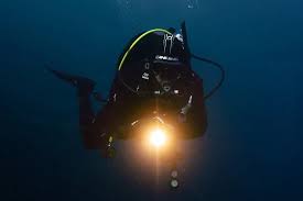 Image result for World Divers