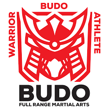 Image result for Budo Warrior Schools