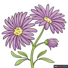 Image result for Aster