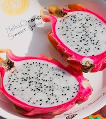 Attēlu rezultāti vaicājumam “Dracocephalum ruyschiana fruit”