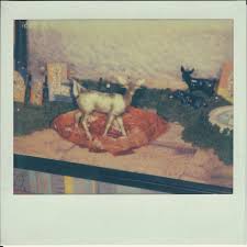 Image result for Foiled Again