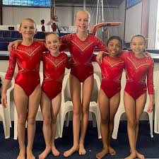 Image result for Southport Aerobics Gymnastics Club