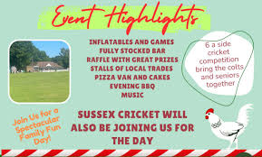 Image result for Henfield Cricket Club