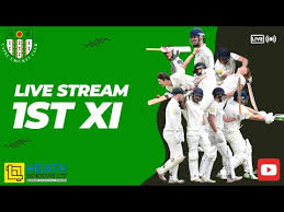 Image result for Capel Cricket Club