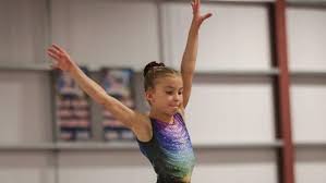 Image result for North Devon Display Gymnastics Club