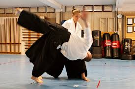 Image result for Matlock Aikido Club