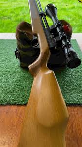 Image result for Bristol Invicta Rifle Club