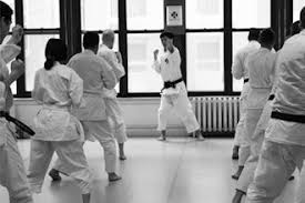 Image result for Winchester Shorinji Kempo Club