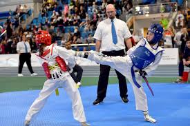 Image result for ENGLISH INTERNATIONAL ALLSTYLES TAEKWONDO