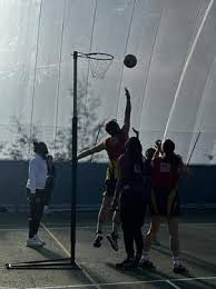 Image result for Henley Netball Club