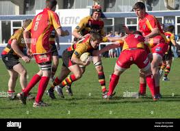 Image result for Richmond Rugby Football Club