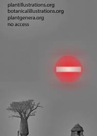 Attēlu rezultāti vaicājumam “Enteridium olivaceum”