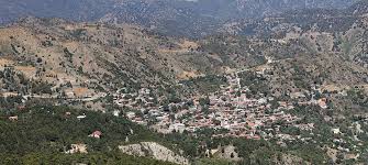 Risultati immagini per pedolesbo