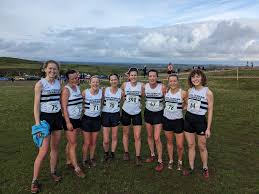 Image result for Cheltenham and County Harriers