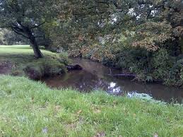 Image result for Addlestone Angling Society