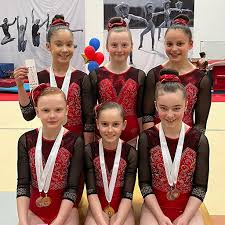 Image result for Redcar School Of Gymnastics