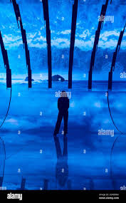 Image result for Deben Sc