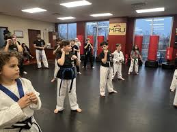 Image result for Martial Arts University Charlotte