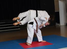 Image result for Loughton Wado-Kai Karate Club