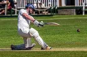 Image result for Whitby Cricket Club