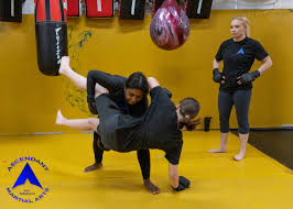 Image result for BARNET and WHETSTONE CHANGQUAN FLYING DRAGON