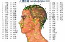 人体头部背面穴位图