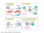 Graphics Gallery: Forms of Cell Signaling
