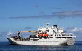 Attēlu rezultāti vaicājumam “Aranei exuvia”