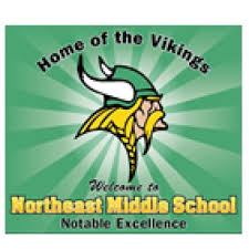 Image result for North East Vikings