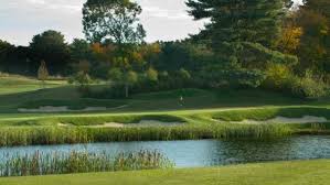 Image result for Chelmsford Gc