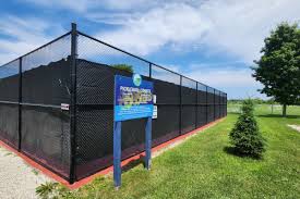 Image result for Thornbury Pickleball Club
