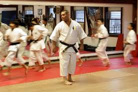 Image result for Guerrero Martial Arts