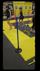 Image result for Vipers Thai/Kickboxing School