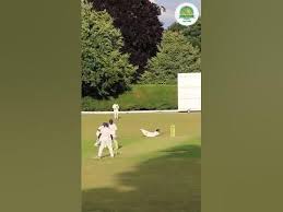 Image result for Lynchmere Cricket Club