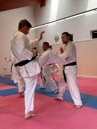 Image result for Ynys Mon Shukokai Karate Club, North Wales