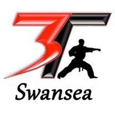 Image result for Swansea Taekwondo Club