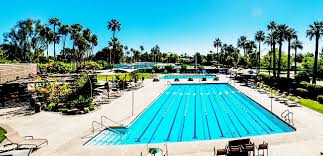 Image result for Derby Phoenix Swimming Club