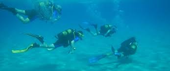 Image result for Manta Divers Sub-Aqua Club