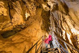 Image result for vallorbe tehron