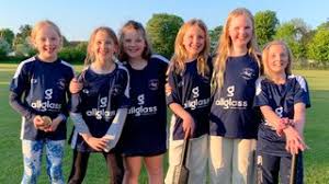 Image result for Yoxford Cricket Club
