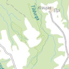 Attēlu rezultāti vaicājumam “Lycogala cf. fossiculatum”