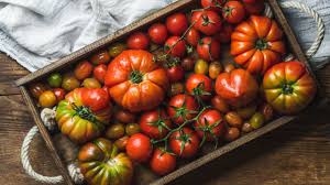 Image result for Tomate