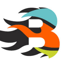 Image result for Bromsgrove Blaze Basketball Club