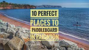 Image result for Paddletastic