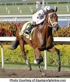 Big Brown | Kentucky Derby | Horse Racing | Big Brown Hats | Big ...