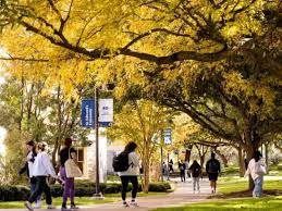 Image result for St Edwards Sac