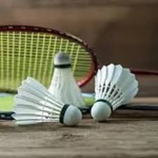 Image result for Isle Of Wight Badminton Club