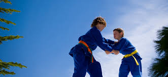 Image result for Edgewood Judo Club